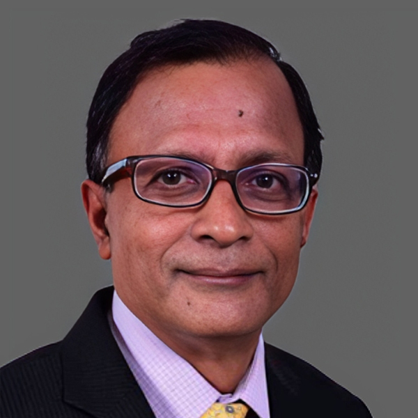 V Ramanan