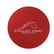 Stallion Asset