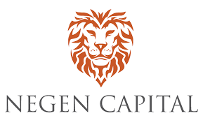 Negen Capital Services Pvt Ltd
